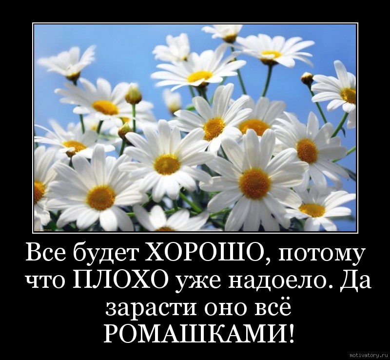 http://motivatory.ru/img/poster/27defbb28f.jpg