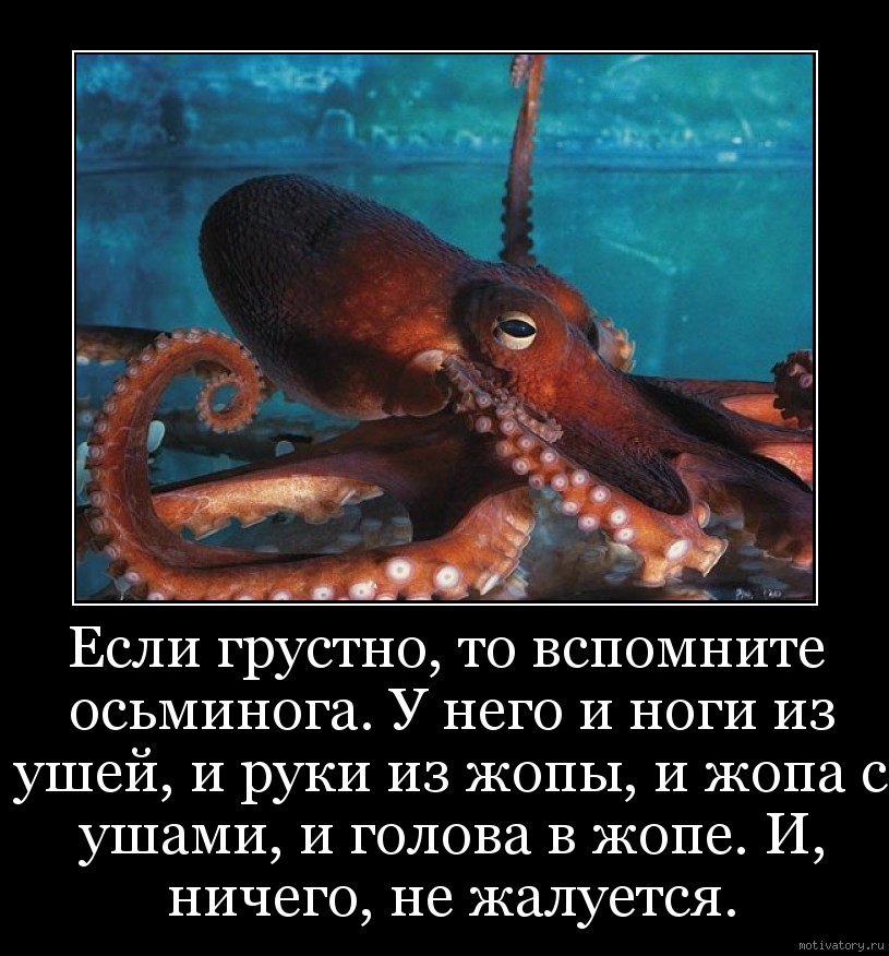 http://motivatory.ru/img/poster/c5538dfe7a.jpg