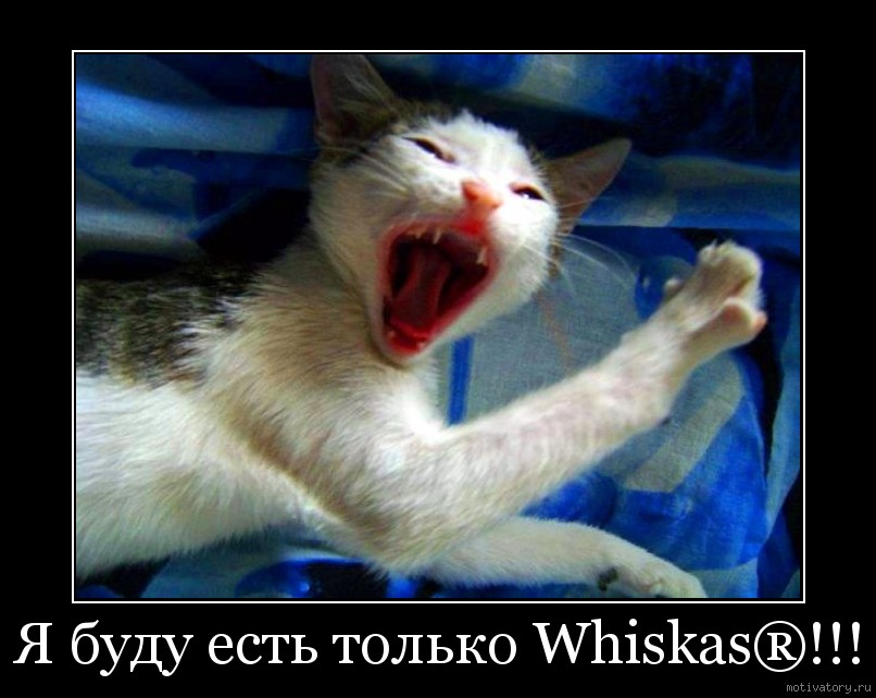 Я буду есть только Whiskas®!!!