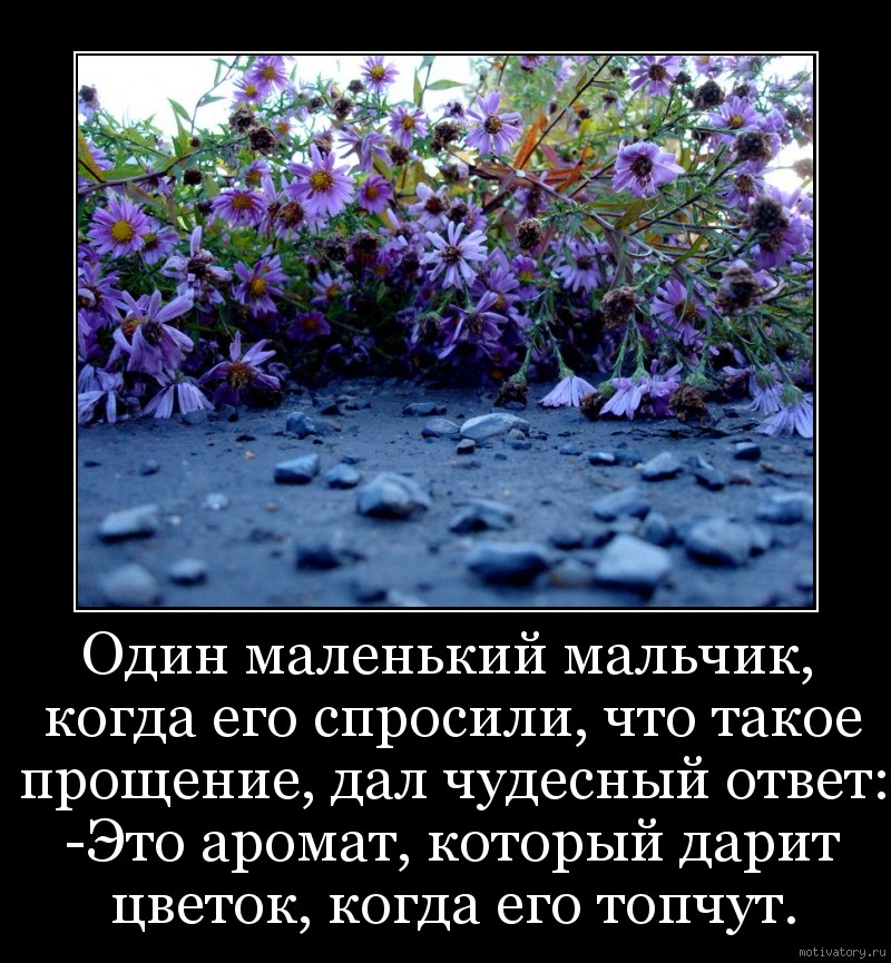 Чудесный ответ. Цитата на тему цветы. Запах цветов цитаты. Прощение это аромат который дарит цветок когда его топчут. Прощение это аромат.