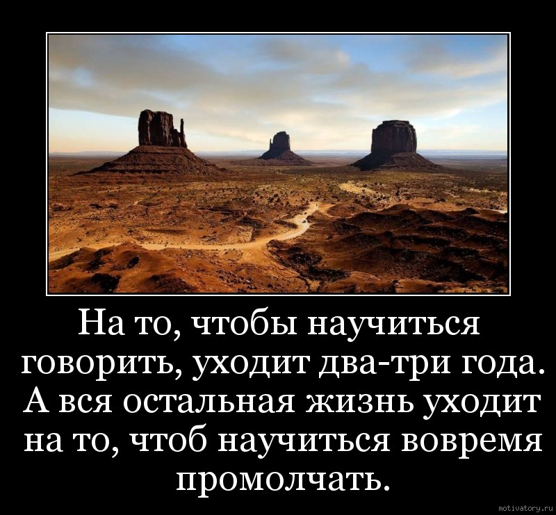 Остальная жизнь. Мудрые слова про молчание. Мудрый промолчит. Тишина о многом говорит. Научитесь молчать цитата.