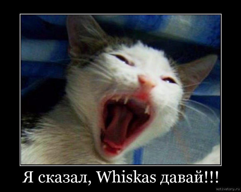 Я сказал, Whiskas давай!!!