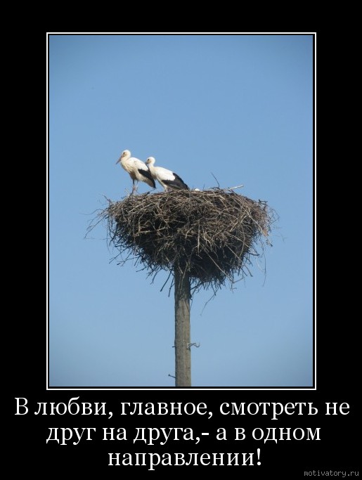 Главное любовь. Любовь это в одном направлении. Не друг на друга а в одном направлении. Смотреть в одном направлении цитата.