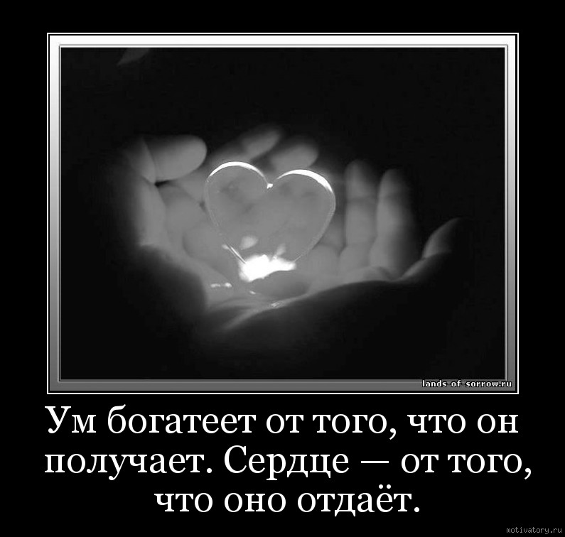 Сердце пошло. Ум богатеет от того что он получает сердце от того что оно отдает. Сердце цитаты афоризмы. Согреть душу. Цитаты про сердце.