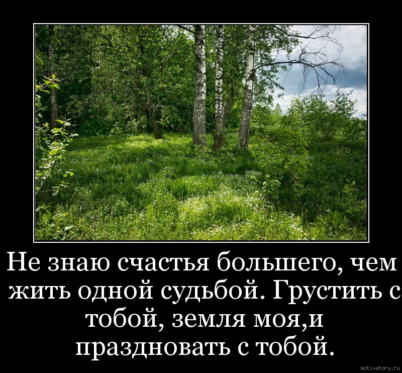 Не знаю счастья большего, чем жить одной судьбой. Грустить с тобой, земля моя,и праздновать с тобой.